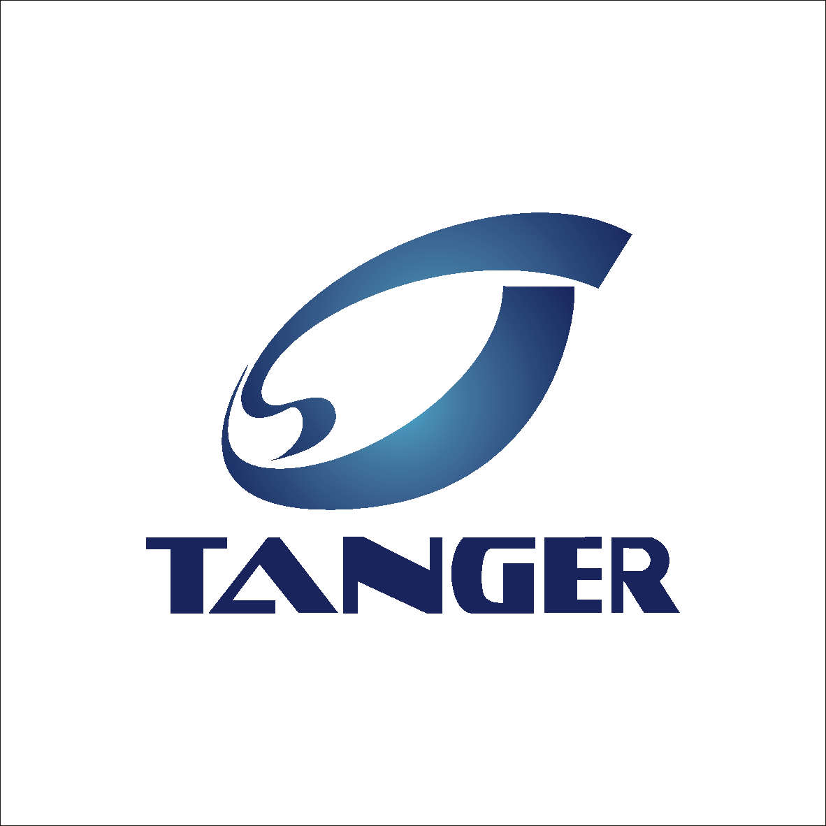 上海丹吉尔实业有限公司