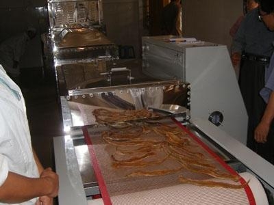 微波鱼类干燥杀菌设备