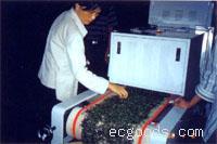 微波茶叶杀青烘干机