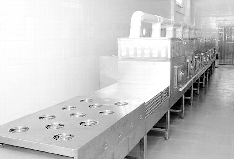 东莞调味品微波干燥杀菌机