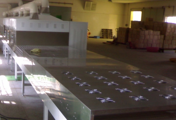 广东微波加热干燥设备