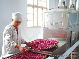 茶叶干燥杀青设备