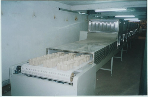 微波陶瓷干燥定型设备