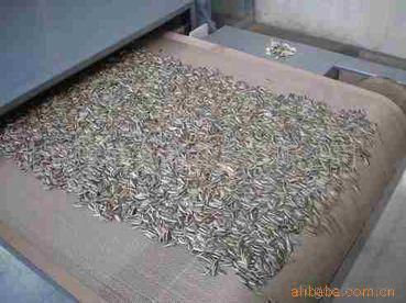 休闲食品干燥设备