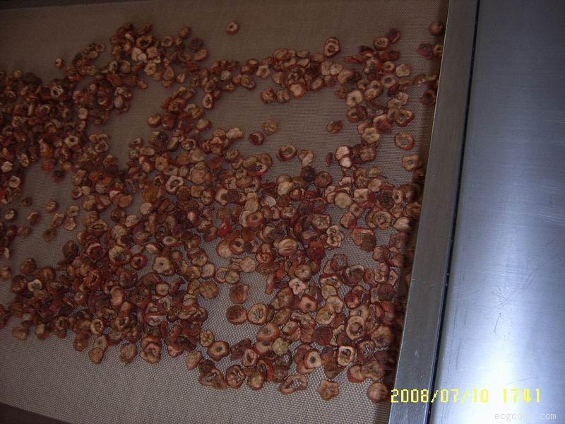 中药饮片杀菌设备