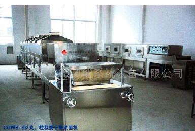 COWB-SD型丸粒状微波干燥杀菌设备