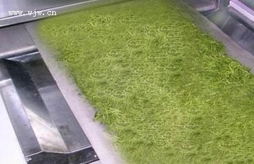 微波干燥黄粉虫|微波设备维修|微