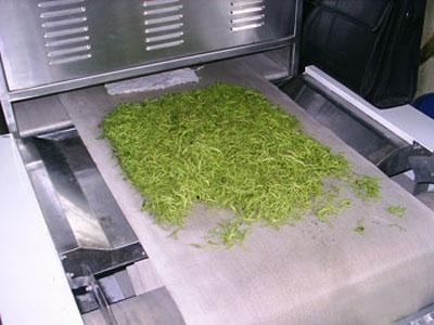 金银花微波烘干杀青设备