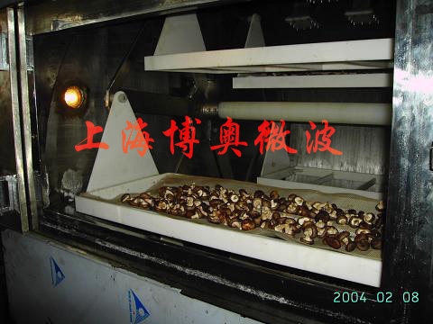 木耳木菇微波干燥杀菌机