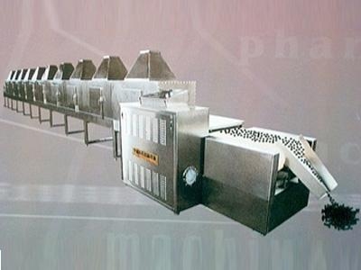 隧道式微波药丸干燥杀菌设备