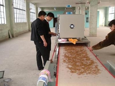 隧道式微波黄粉虫干燥设备