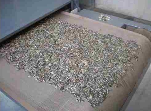 微波瓜子干燥设备