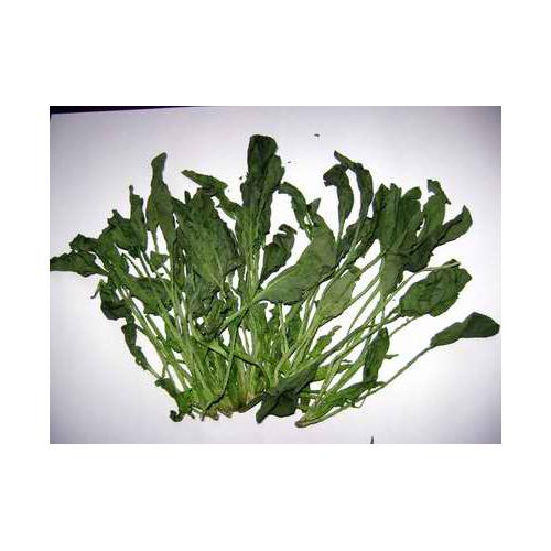 微波蔬菜脱水机/蔬菜烘干机/蔬菜