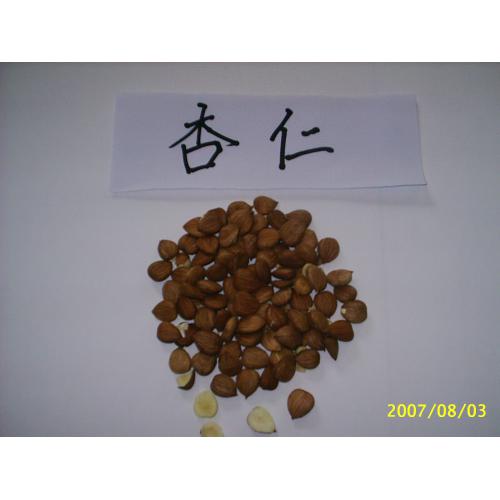 杏仁微波烘干熟化设备