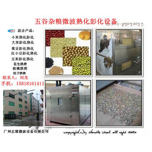新型五谷杂粮熟化彭化设备
