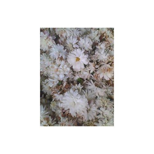 菊花微波杀青烘干设备