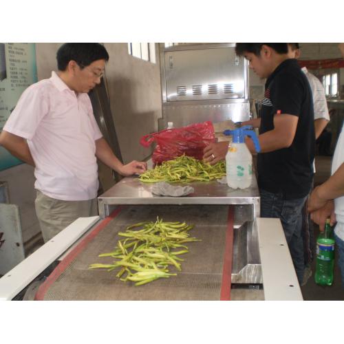 济南微波菊花烘干机设备公司