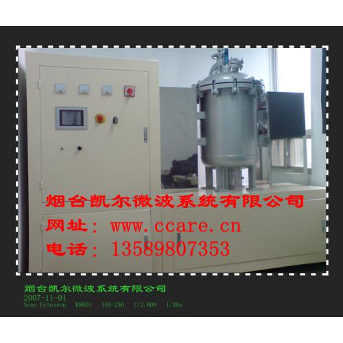 真空微波干燥炉
