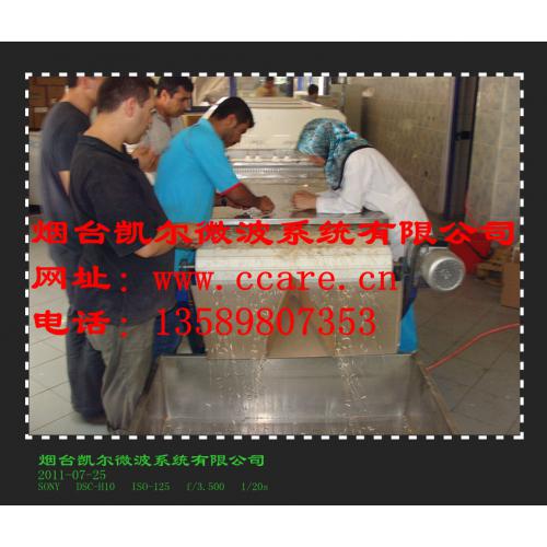 坚果微波干燥熟化