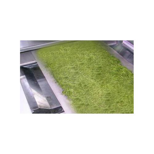 金银花微波干燥设备