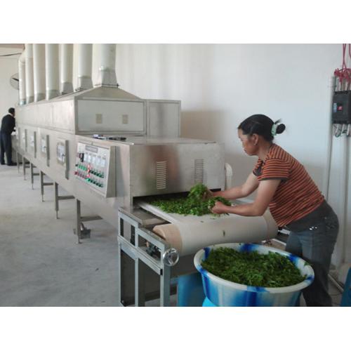 微波茶叶杀青机