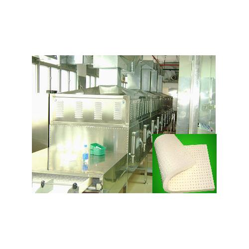 微波乳胶干燥设备