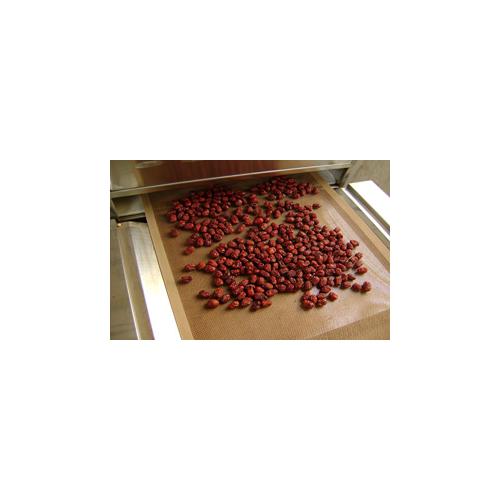 大枣微波干燥杀菌设备