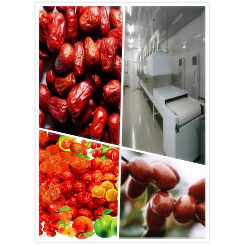 微波清洗红枣烘干设备