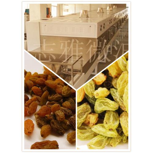 微波葡萄干烘干设备