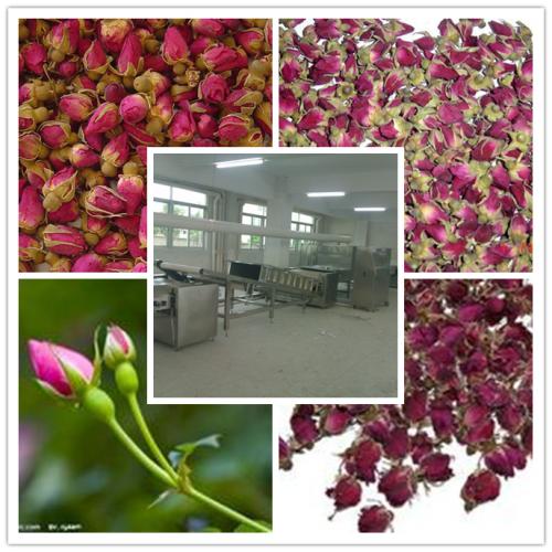 玫瑰花蕾烘干机