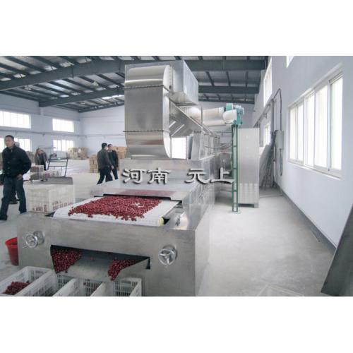 红枣干燥设备