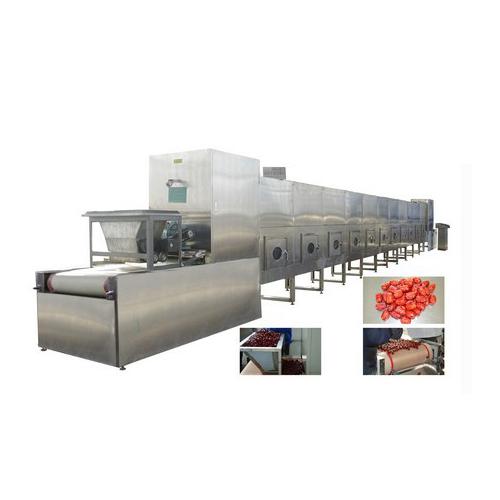 微波红枣干燥灭菌设备