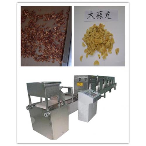 微波蔬菜脱水设备