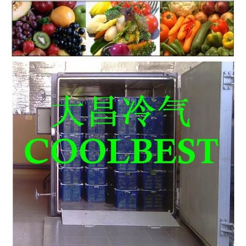 蔬菜真空預(yù)冷機