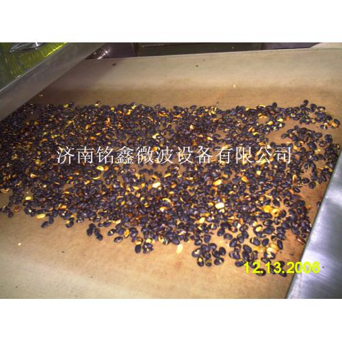隧道式大豆微波熟化设备