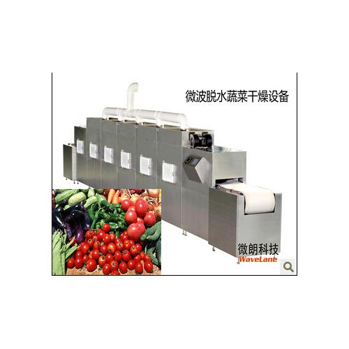 微波农副产品干燥杀菌设备