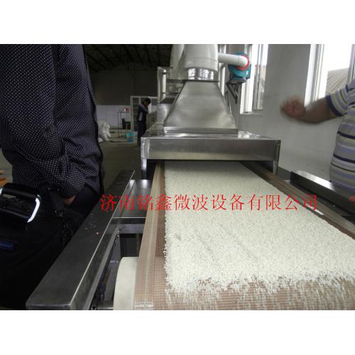 大米微波干燥杀菌设备