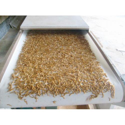 黄粉虫微波烘干设备