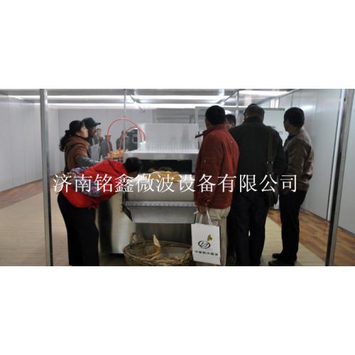 猪皮微波膨化设备