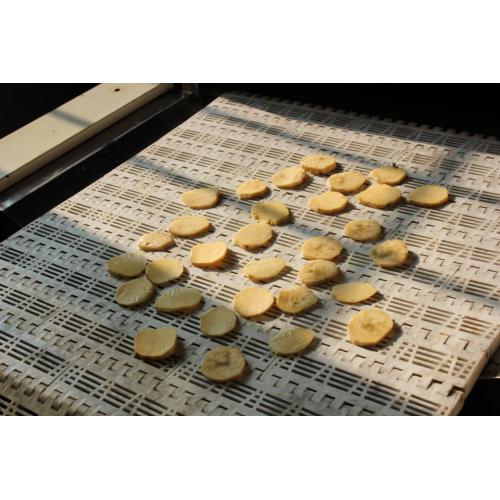 土豆片薯片微波干燥设备