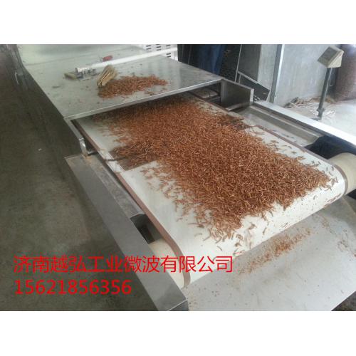 微波黄粉虫干燥机