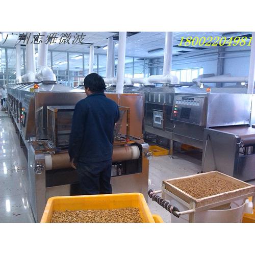 黄粉虫微波烘干设备