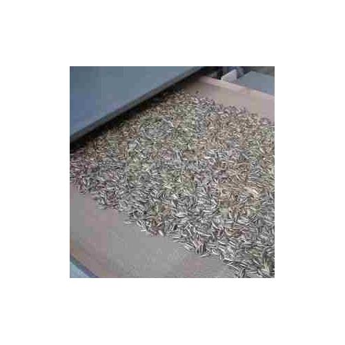 花生、大豆微波熟化设备