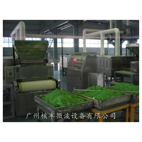 微波干燥设备