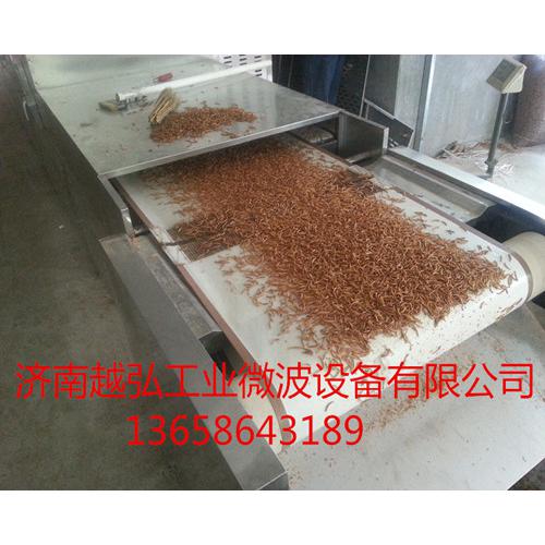 黄粉虫微波干燥膨化机