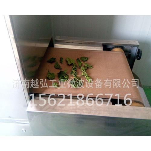 茶叶微波杀青机|厂家直销茶制品干燥杀青设备