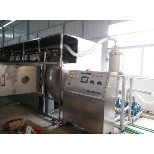 36KW 罗汉果微波真空干燥机