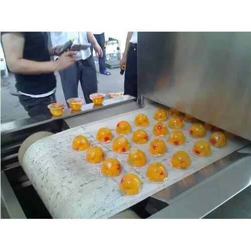 果冻果脯微波杀菌设备