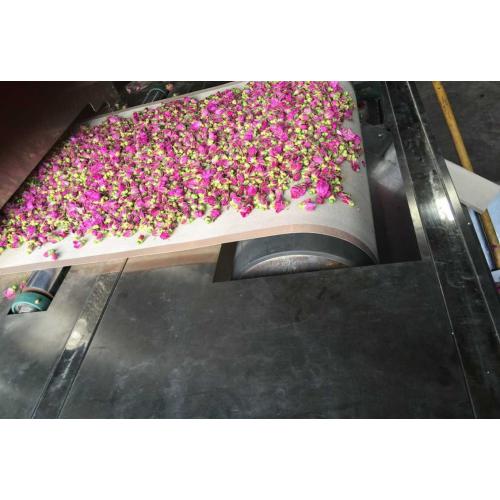 玫瑰茶叶微波杀青设备