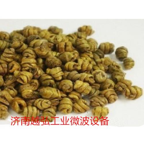 越弘铁皮石斛微波干燥设备